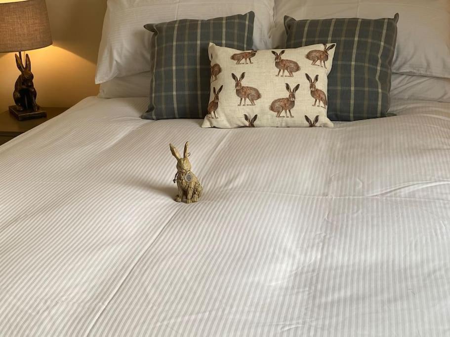 The Burrow, Langholm, Dumfries And Galloway Kültér fotó